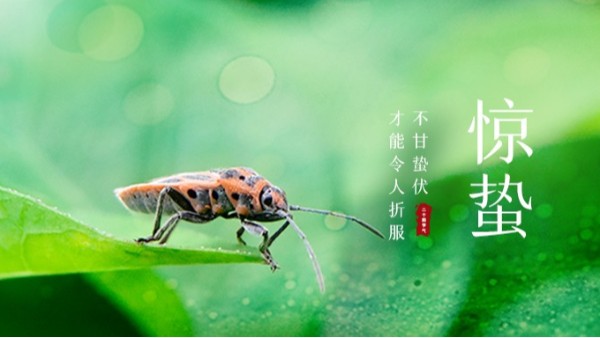 惊蛰，惊醒了酣睡数月的春天——中新华美染色塑料
