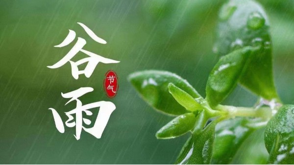 今日谷雨，雨生百谷，静待成长--中新华美染色塑料
