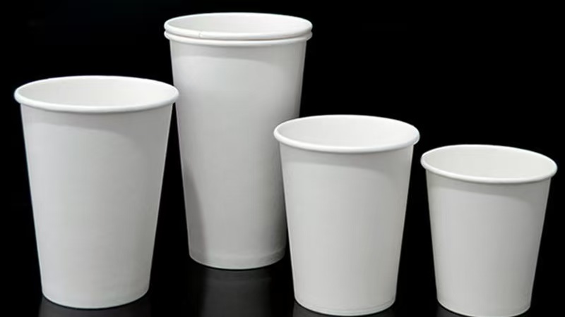 纸杯