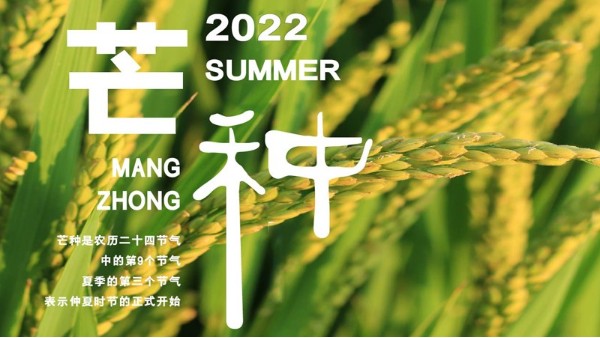 是日芒种，耕耘有序，自在从容--中新华美染色塑料