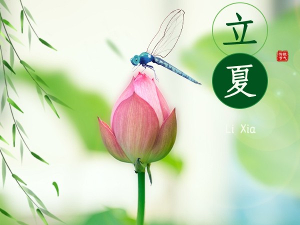 今日立夏，夏满华夏，情长人间--中新华美染色塑料